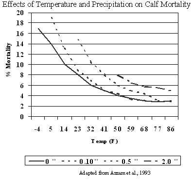 Effects of Temperature and Precipitation on Calf Mortality