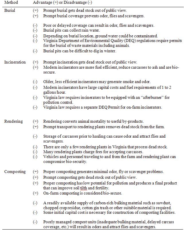 Buy Original Essays online Advantages And Disadvantages Of Incineration Student Papers and Essays | All Papers for Your Academic Purposes