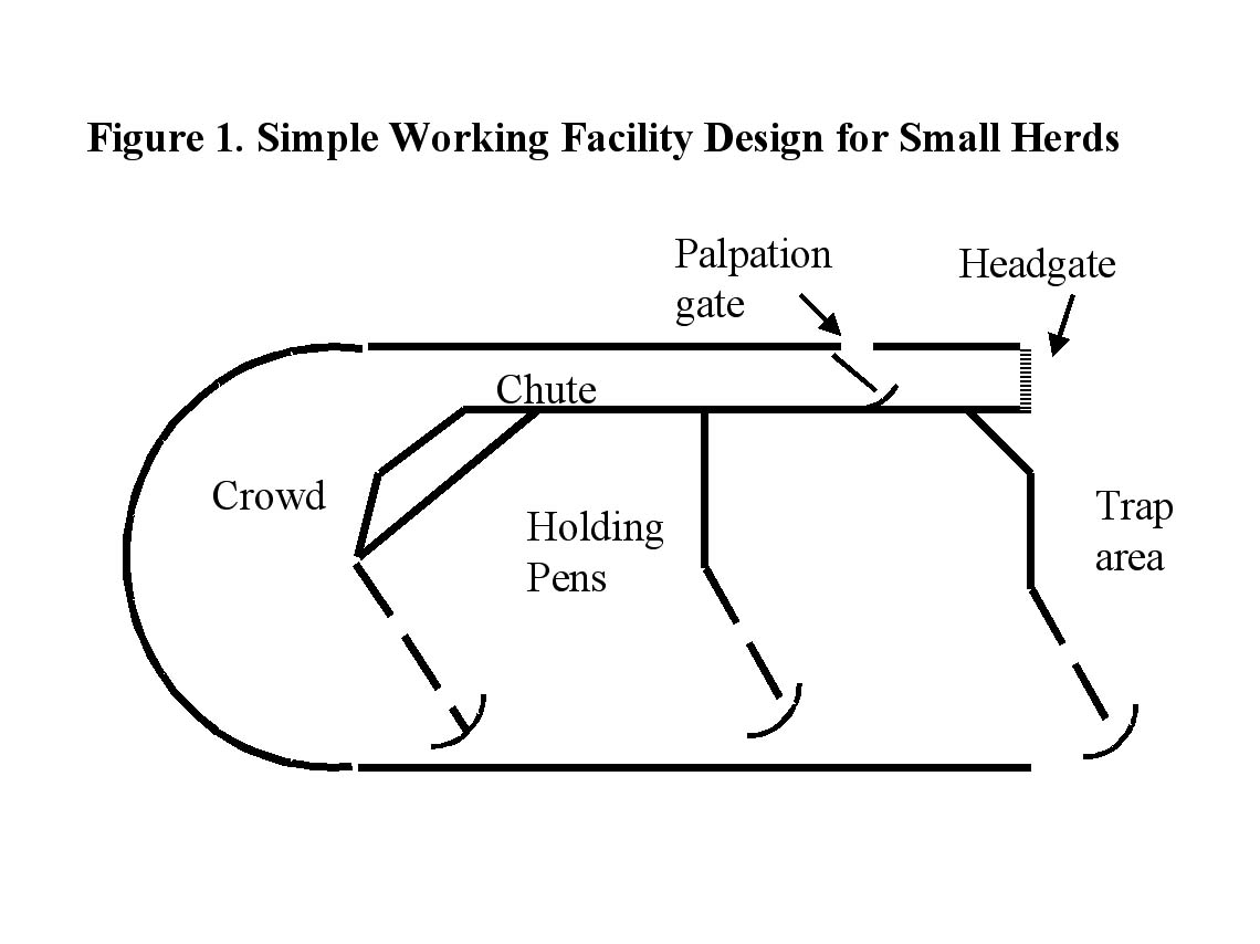 Cattle Working Pen Plans Von Fitts