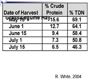 Hay Protein Chart