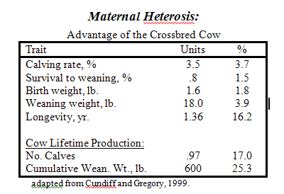 Maternal Heterosis