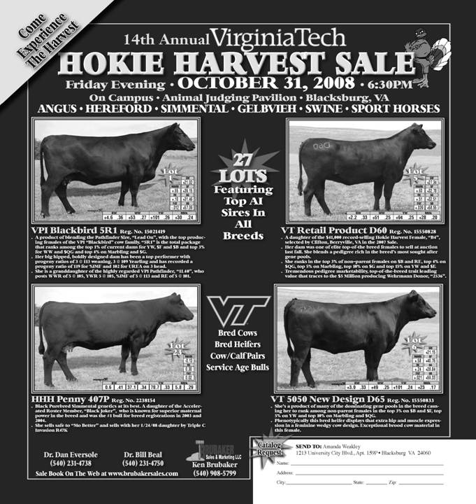 VT Hokie Harvest Sale