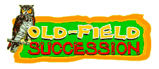 Old Field Succession: What happens to farm fields if they are left alone for many years? They turn back into forest! This process is called old-field succession, and boy is it cool!