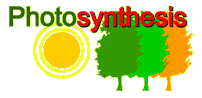 Photosynthesis, Putting Together with Light: Did you know that trees and plants can make their own food, but animals can't? Trees and plants make food and produce oxygen through an interesting process called photosynthesis.